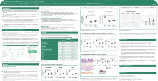 Infigratinib For Achondroplasia And HCH | FGFR3 Signaling